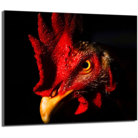 Plaque de protection en verre pour le poêle 60x52 Rooster (1/5)