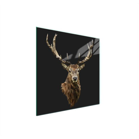 PLAQUE DE PROTECTION EN VERRE POUR POÊLE 50x52 CERF (1/5)