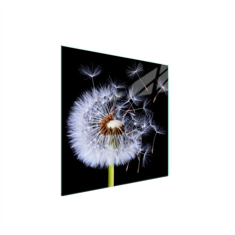 PLAQUE DE PROTECTION EN VERRE POUR POÊLE 50x52 FLEUR (1/5)