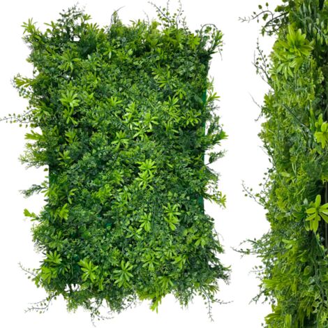Mur végétalisé - panneau végétal de philodendron, thuya et sedum
