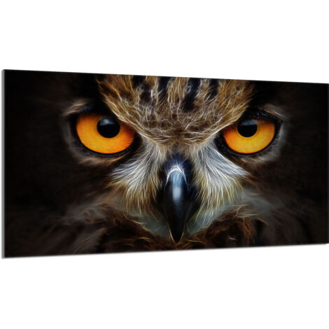 Plaque de protection en verre pour le poêle 90x52 Owl (1/5)