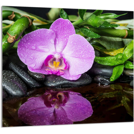 PANNEAU DE VERRE POUR CUISINE 65x60 Orchidée (1/5)