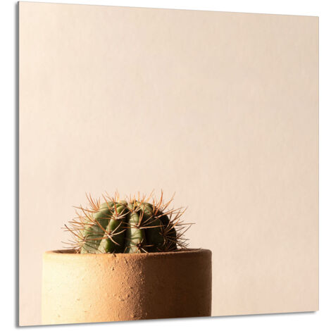 PANNEAU DE VERRE POUR CUISINE 60x65 Cactus (1/5)