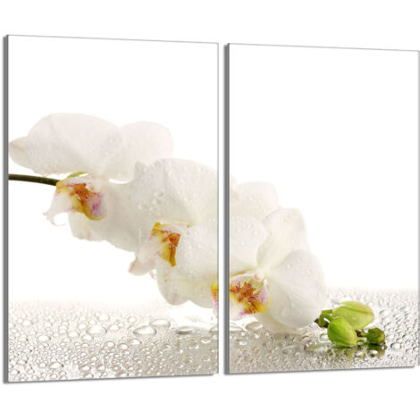Plaque de protection en verre pour poêle 2x30x52 Orchidea (1/5)