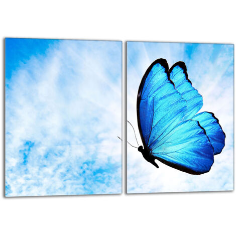 Plaque de protection en verre pour poêle 2x40x52 Butterfly (1/5)