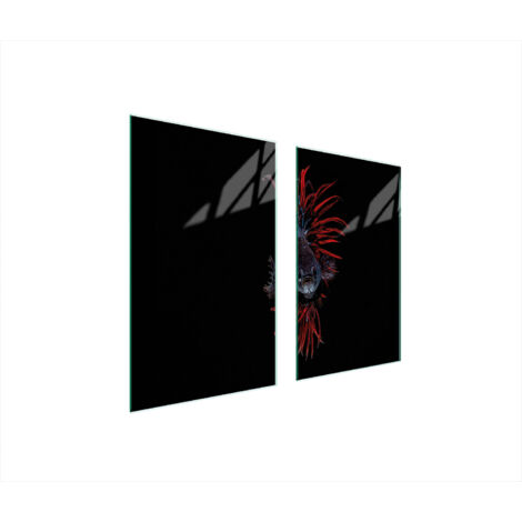 PLAQUE DE PROTECTION EN VERRE POUR POÊLE 75x52 FISH (1/5)