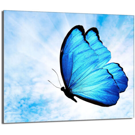 Plaque de protection en verre pour poêle 60x52 Butterfly (1/5)