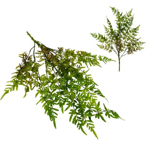 Fougère caoutchouc vert-brun - bouquet de feuilles de fougère 73 cm (1/5)