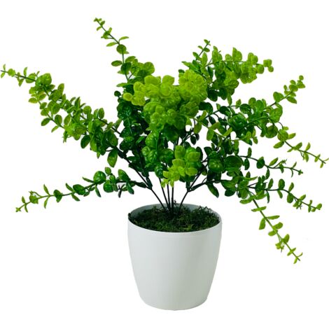 Fleur en pot - Buis en pot 40 cm (1/5)