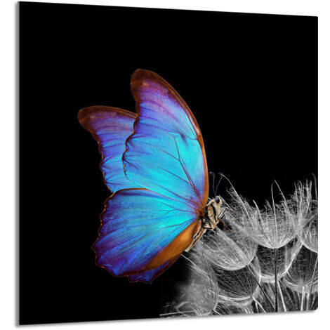 PANNEAU DE VERRE POUR CUISINE 60x65 Papillon (1/5)