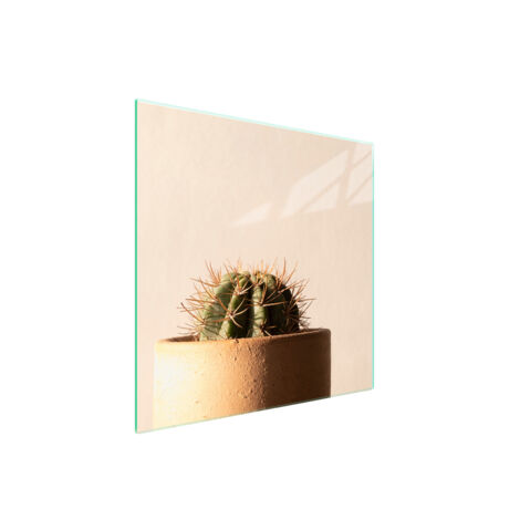 PLAQUE DE PROTECTION EN VERRE POUR POÊLE 50x52 CACTUS (1/5)