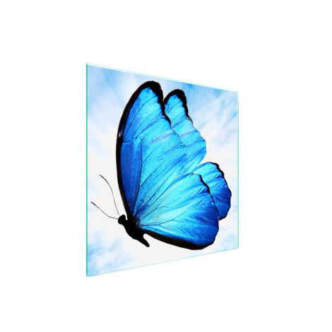 PLAQUE DE PROTECTION EN VERRE POUR POÊLE 50x52 PAPILLON (1/5)