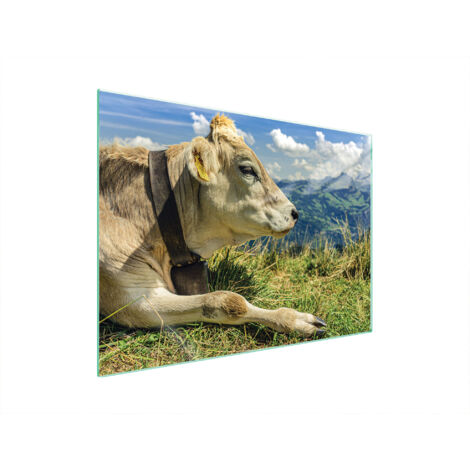 PLAQUE DE PROTECTION EN VERRE POUR POÊLE 70x52 VACHE (1/5)