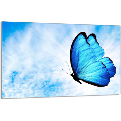 Plaque de protection en verre pour poêle 80x52 Butterfly (1/5)