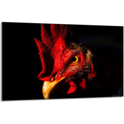 Plaque de protection en verre pour le poêle 80x52 Rooster (1/5)