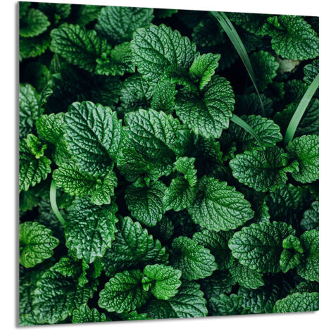 PANNEAU DE VERRE POUR CUISINE 60x65 Melisa (1/5)