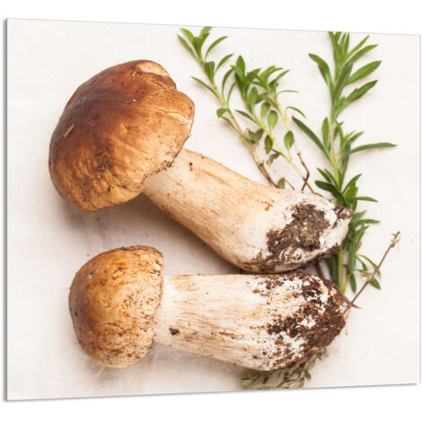 PANNEAU DE VERRE POUR CUISINE 65x60 Champignons (1/5)