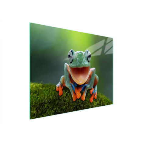 PLANCHE À DÉCOUPER EN VERRE 52x30 GRENOUILLE (1/5)