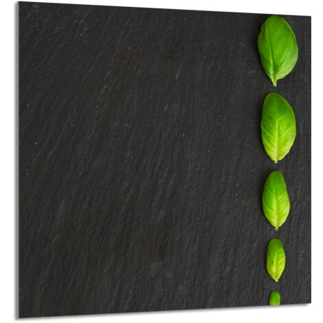 PANNEAU DE VERRE POUR CUISINE 60x65 Basilic (1/5)