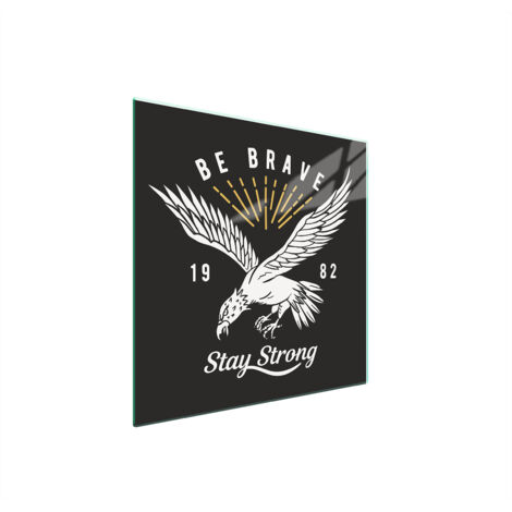 PLAQUE DE PROTECTION EN VERRE POUR POÊLE 50x52 BIRD (1/5)
