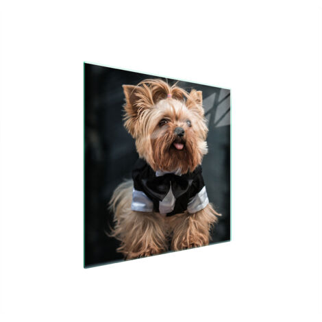 PLAQUE DE PROTECTION EN VERRE POUR POÊLE 50x52 DOG (1/5)