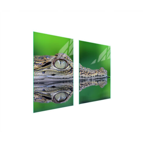PLAQUE DE PROTECTION EN VERRE POUR CUISINE 65x52 CROCODILE (1/5)