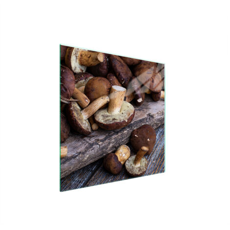 PLAQUE DE PROTECTION EN VERRE POUR POÊLE 50x52 CHAMPIGNONS (1/5)