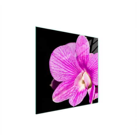 PLAQUE DE PROTECTION EN VERRE POUR POÊLE 50x52 ORCHIDÉE (1/5)