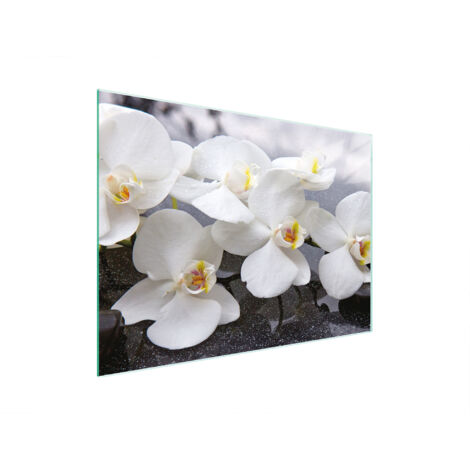 Coloray Planche à découper 2x30x52cm Verre de Sécurité Avec Une Image Impression Protection Plaque Verre Trempé Tapis de Découpe Induction Cuisson - Résumé des feuilles d'art