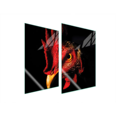 PLAQUE DE PROTECTION EN VERRE POUR CUISINE 2x35x52 COQ (1/5)