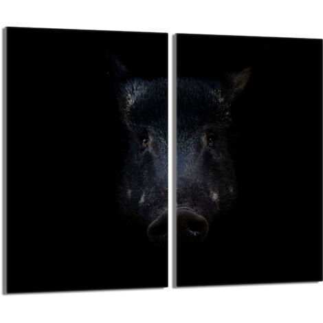 Plaque de protection en verre pour le poêle 2x30x52 Sanglier (1/5)