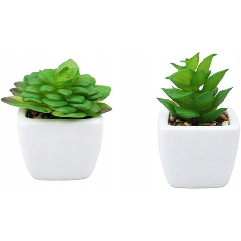 LOT DE 2 PLANTES SUCCULENTES VERTES ARTIFICIELLES Pots en céramique Décoration d'intérieur (1/5)