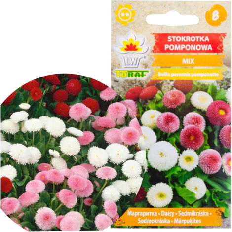 Mixte 400 Narcisse Duo Bulbes Jonquille Plante Graines De Fleurs Senteurs Pastel Double - Achat Mixte 400 Narcisse Duo Bulbes Jonquille Plante Graines De Fleurs Senteurs Pastel Double - Achat