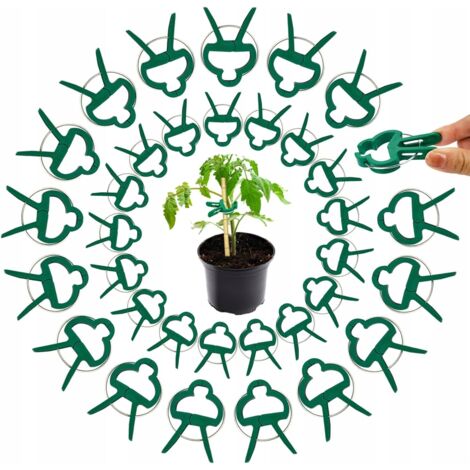 PINCES À PLANTES tiges pousses lot de 60 pièces jardin pour fixation (1/5)