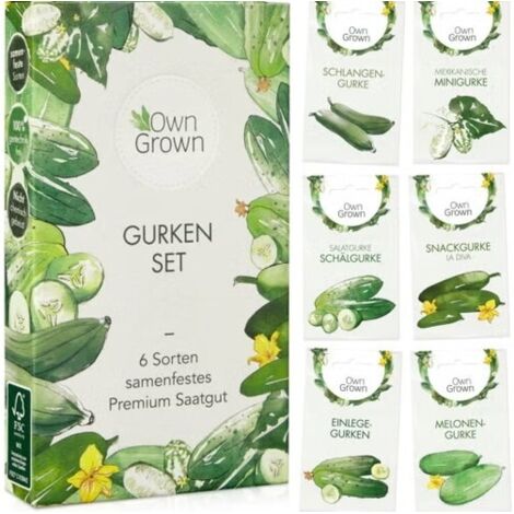 Graines de concombre cultivées par mes soins (1/2)