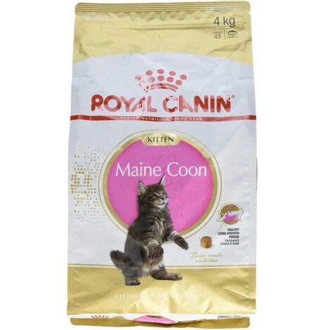 Croquettes pour chatons Maine Coon 4kg – Grandes croquettes pour mâchoire puissante – Santé digestive et immunitaire renforcée – Royal Canin