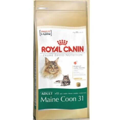 Royal Canin – Croquettes pour chat Maine Coon adulte 4kg – Nourriture sèche équilibrée – Enrichie en taurine, EPA et DHA pour pelage brillant