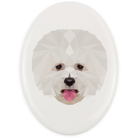 Bichon Frisé, chien de Tenerife - une plaque avec une photo et une inscription géométrique par Art-Dog (1/4)