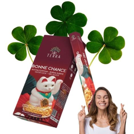 Terra Bonne Chance bâtonnets d'encens 20 pièces (1/3)