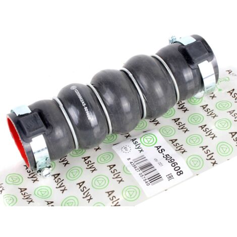 TUYAU DE TURBINE ASLYX SNOWMAN CROISÉ AVEC 0382NP (1/5)