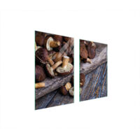 PLAQUE DE PROTECTION EN VERRE POUR POÊLE 75x52 CHAMPIGNONS