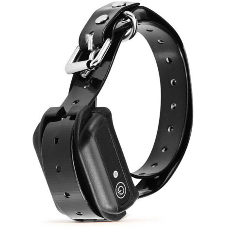 Collare, Imbracatura E Guinzaglio Per Addestramento Ed Educazione Del - Foto 9