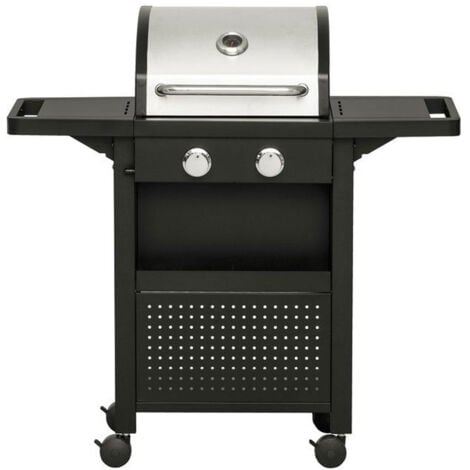 Barbecue a Gas Professionale 2 Fuochi Con Termometro e Manopole di Controllo