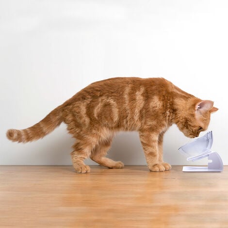 Ciotole Rialzate Per Gatti - Doppia, Inclinabile 15&deg;, Altezza Regolabile | Anti Vomito