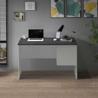 WHOUS Scrivania Easy 1 anta e 1 cassetto report e bianco opaco 110x50x75 cm