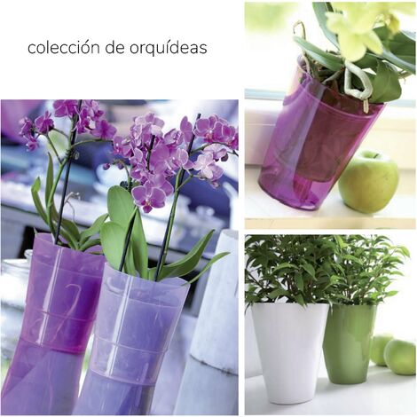 Vaso Porta Orchidea Coubi Trasparente 2,4L - Coprivaso In Plastica Resistente UV 16x18,5 Cm