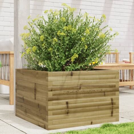 Fiori da Essiccare - semi da fiore di qualità - Sementi Dotto