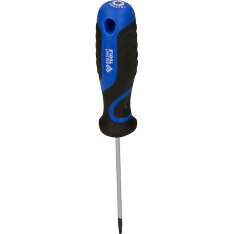 Brilliant Tools – Tournevis TORX T8 – Longueur 10 cm – Acier chrome vanadium – Embout à frapper pour vis bloquées – Poignée ergonomique (1/5)