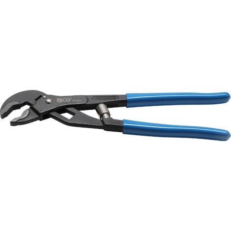 BGS Pince à pompe à eau auto-ajustable 250 mm - 75201 (1/3)