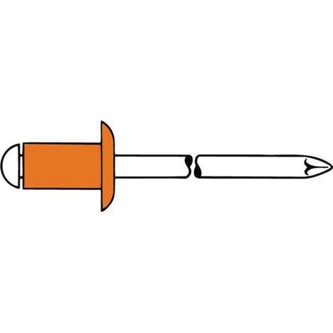 Rivet POP tige de rivet d x l 4 x 10 mm cuivre / Bronze 50 un. GESIPA (1/2)